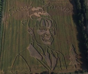 sarah-palin-cornmaz-jpg