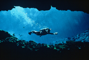 pes-scubadiver-park Scuba Diving