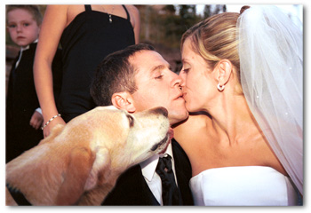 A Family Shares a Kiss A Family Shares a Kiss