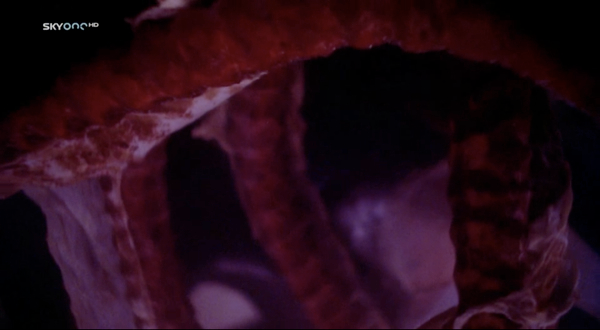 The interpenetration of machine and flesh
